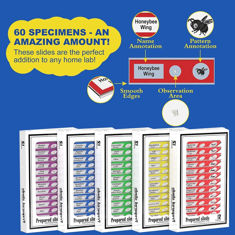 Jiusion 60Pcs Prepared Microscope Slides Specimen Animals Insects Plants Flowers Sample Biological Specimen, Stereo Microscope Slide for Kids Children Students Enlighten Education - Image 5